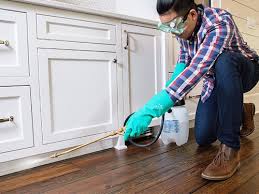 Real Estate Pest Inspections in Edgemoor, DE